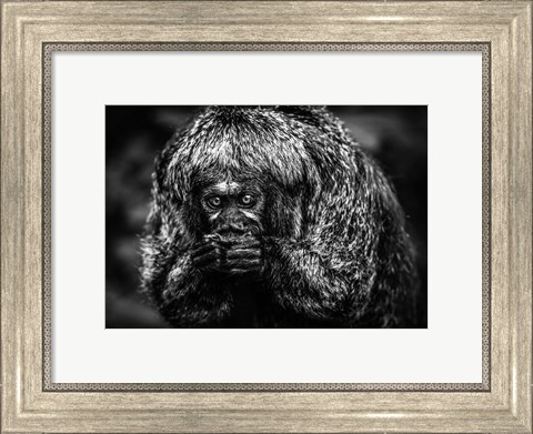 Framed Little Monkey Black &amp; White Print