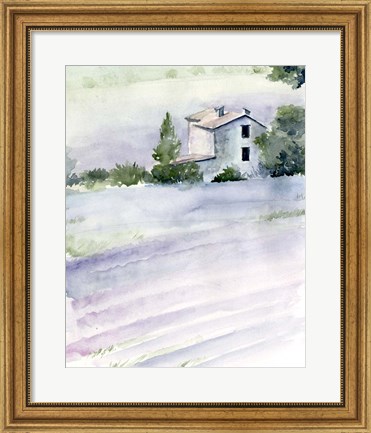 Framed Lavender Fields II Print