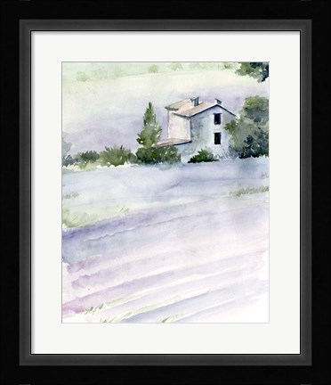 Framed Lavender Fields II Print