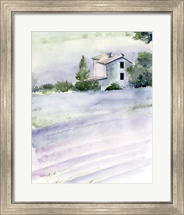 Framed Lavender Fields II Print