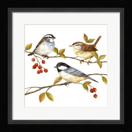 Framed Birds &amp; Berries I Print