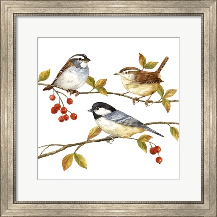 Framed Birds &amp; Berries I Print