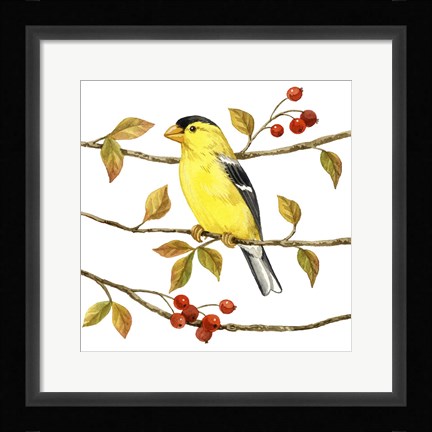Framed Birds &amp; Berries II Print
