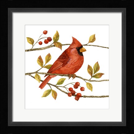 Framed Birds &amp; Berries III Print
