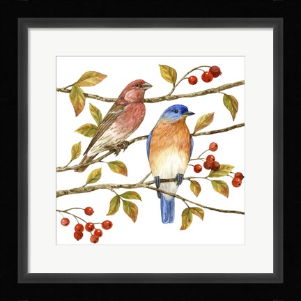 Framed Birds &amp; Berries IV Print