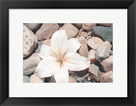 Framed Pebble Beach I Print