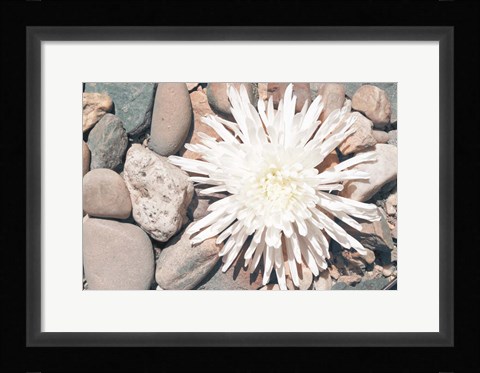 Framed Pebble Beach II Print