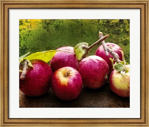 Framed Harvest I Print