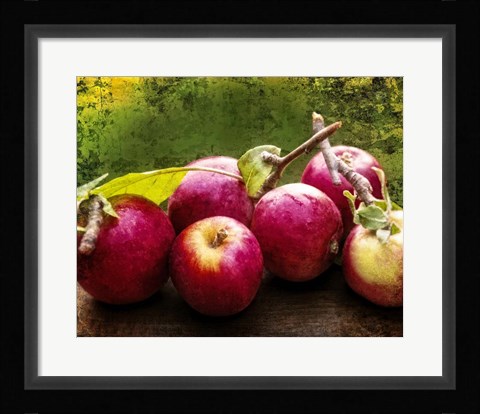 Framed Harvest I Print