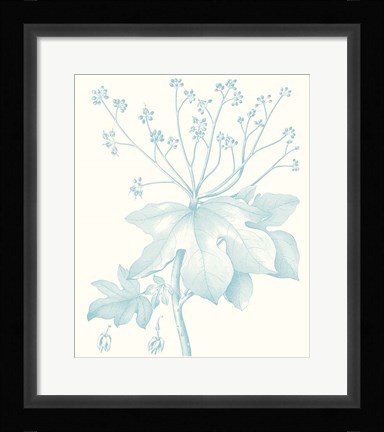 Framed Botanical Study in Spa I Print