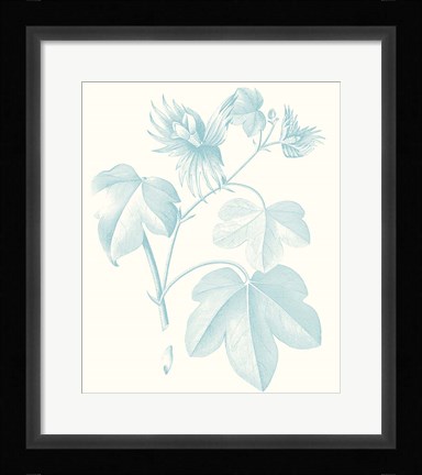 Framed Botanical Study in Spa IV Print