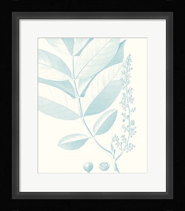 Framed Botanical Study in Spa VI Print