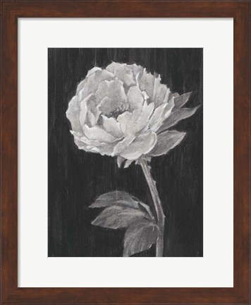 Framed Black and White Flowers II Print