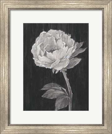 Framed Black and White Flowers II Print
