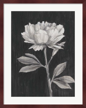 Framed Black and White Flowers III Print