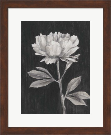 Framed Black and White Flowers III Print