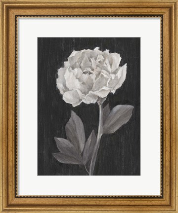 Framed Black and White Flowers IV Print