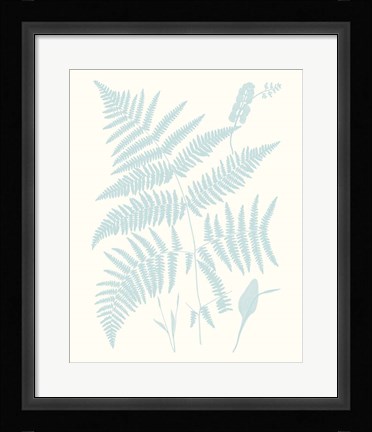 Framed Serene Ferns I Print