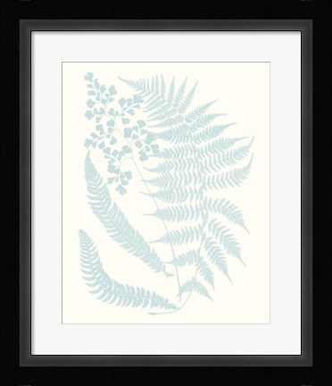 Framed Serene Ferns II Print