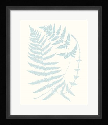 Framed Serene Ferns III Print