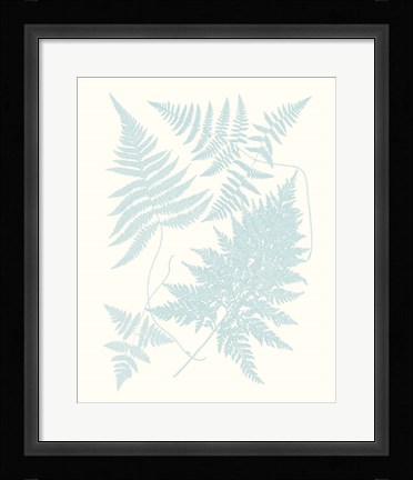 Framed Serene Ferns IV Print