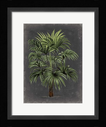 Framed Dramatic Palm I Print