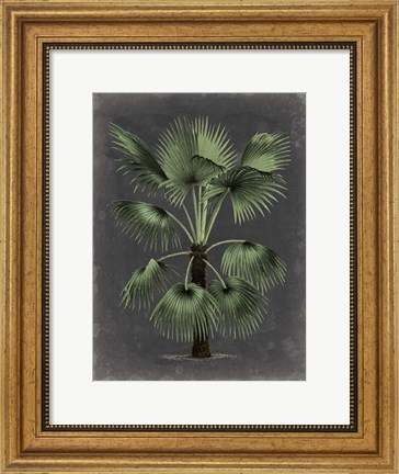 Framed Dramatic Palm II Print