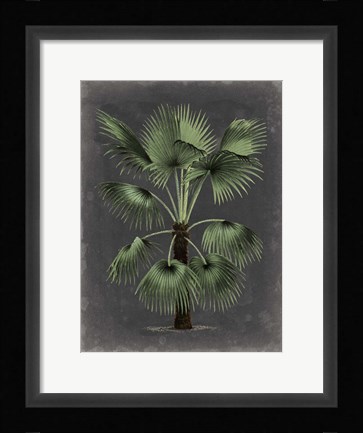 Framed Dramatic Palm II Print