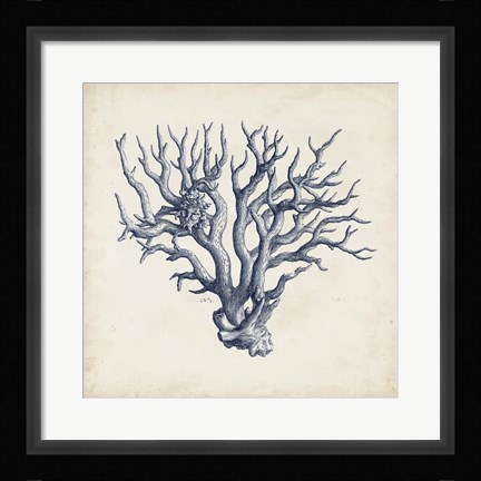Framed Coral Trio in Indigo I Print