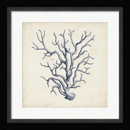 Framed Coral Trio in Indigo III Print