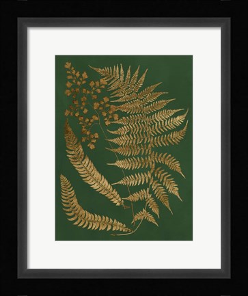 Framed Gilded Ferns I Print