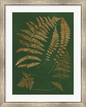 Framed Gilded Ferns III Print