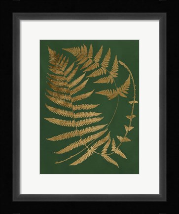Framed Gilded Ferns IV Print