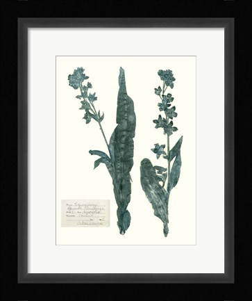 Framed Pressed Flowers in Spa IV Print