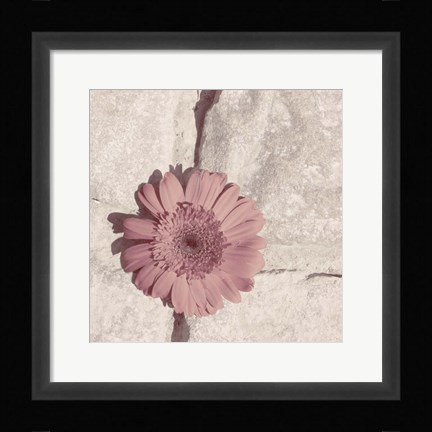Framed Stone Blossom I Print