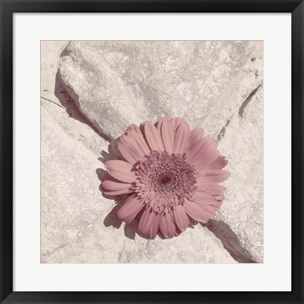 Framed Stone Blossom II Print