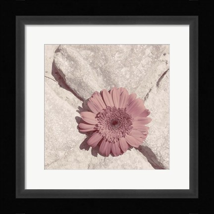 Framed Stone Blossom II Print