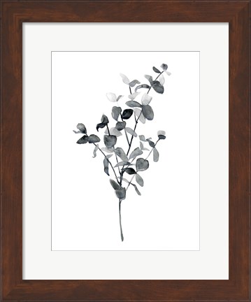 Framed Brume Botanical IV Print