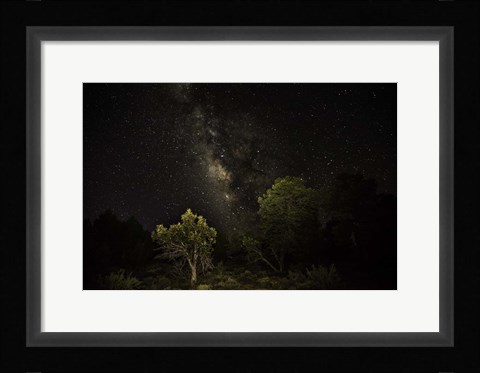 Framed Stargazer 2 Print