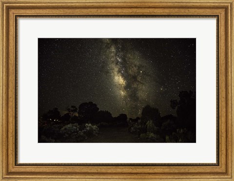 Framed Stargazer 5 Print