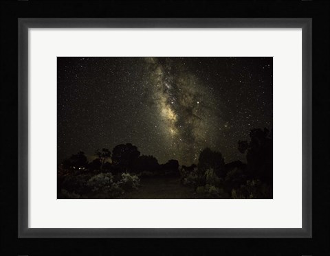Framed Stargazer 5 Print