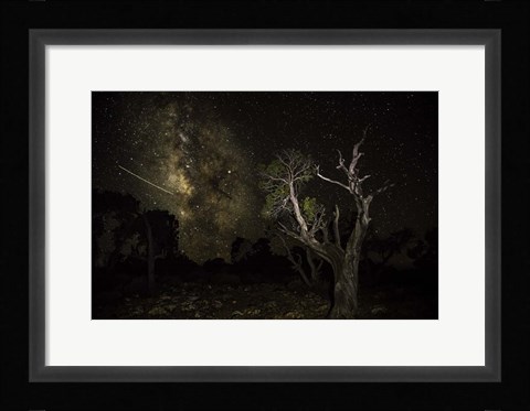 Framed Stargazer 6 Print