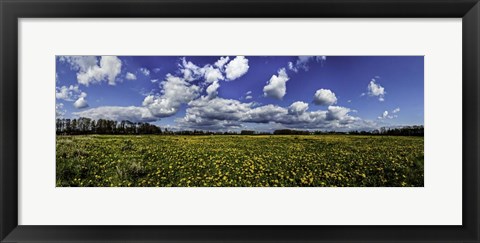 Framed Yellow Flower Field Print