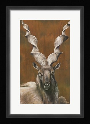 Framed Mighty Markhor Print
