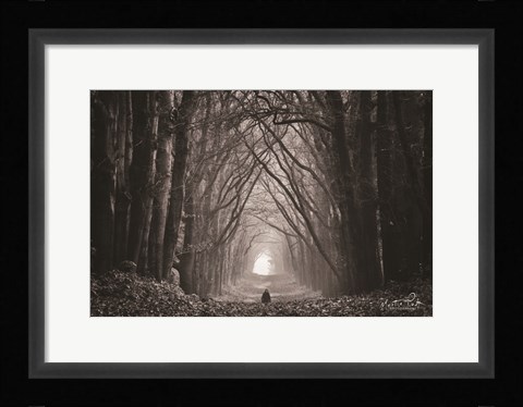 Framed In the Land of Gods and Monsters Print