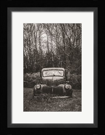 Framed Bumper in Weeds Print