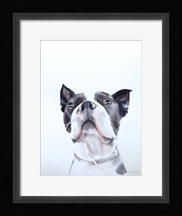 Framed Bird Watching Print