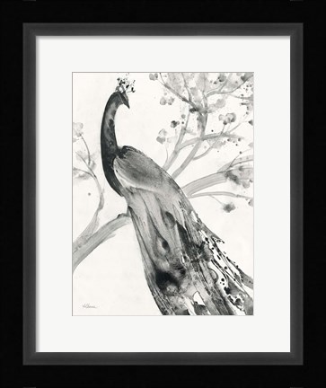 Framed Majestic Peacock Print