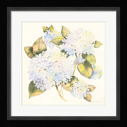 Framed Hydrangeas Print