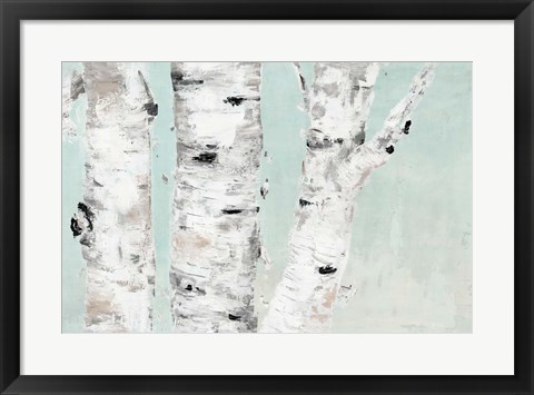 Framed Birch Tree Close Up Print